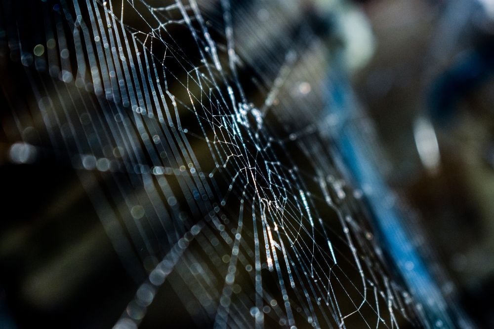 Dark web: ¿Qué es, cómo se accede y posibles peligros?